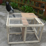 Half Scale Larsen Trap