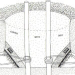 How to set a Nomol Mole trap