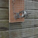 Wall mounted bodygrip