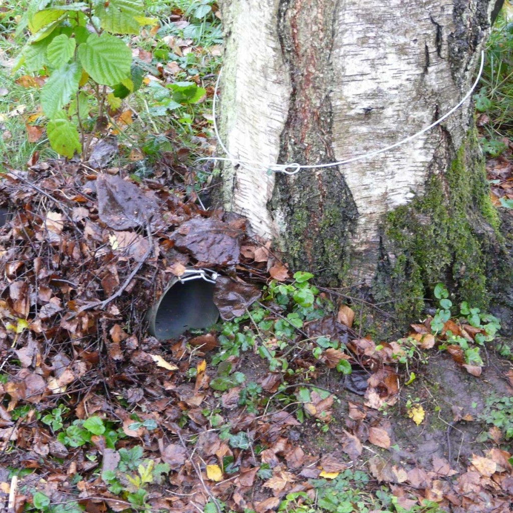 Siting a WCS Tube Trap