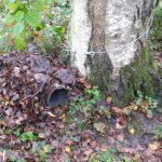 Siting a WCS Tube Trap