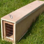 Improved See-Saw Trap